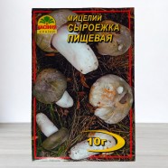 Міцелій гриба Сироїжка Харчова, 10 м